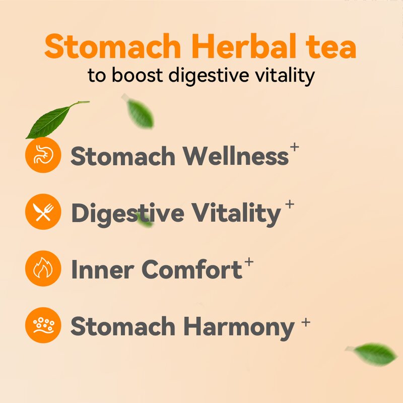 Stomach Health Tea Manufacturer - Nourish Flavor & Digestion Support