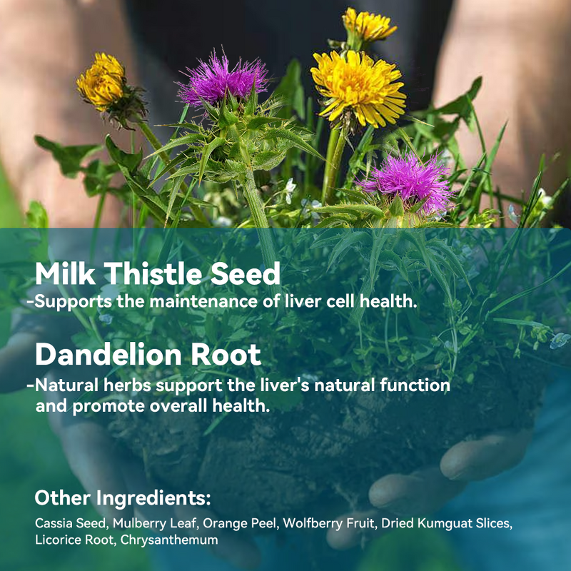 Hangover Tea Manufacturer - Herbal Liver Cleanse Dandelion Root