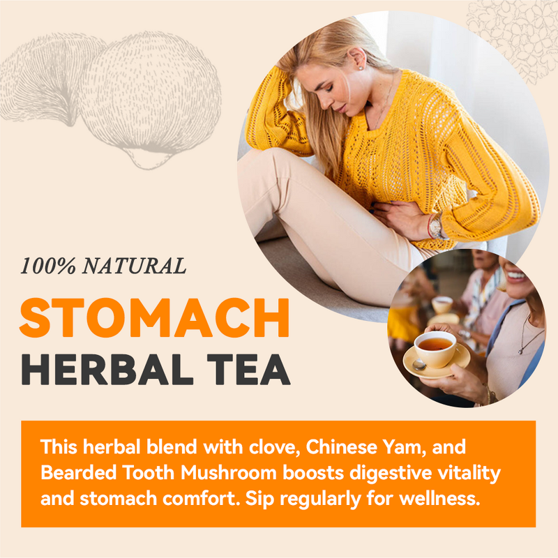 Stomach Health Tea Manufacturer - Nourish Flavor & Digestion Support