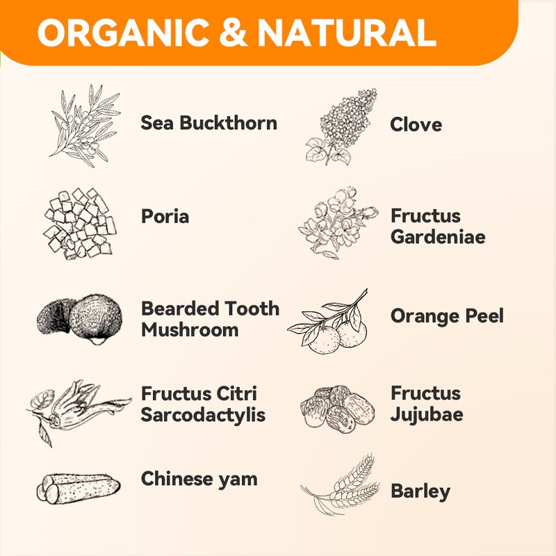 Stomach Health Tea Manufacturer - Nourish Flavor & Digestion Support