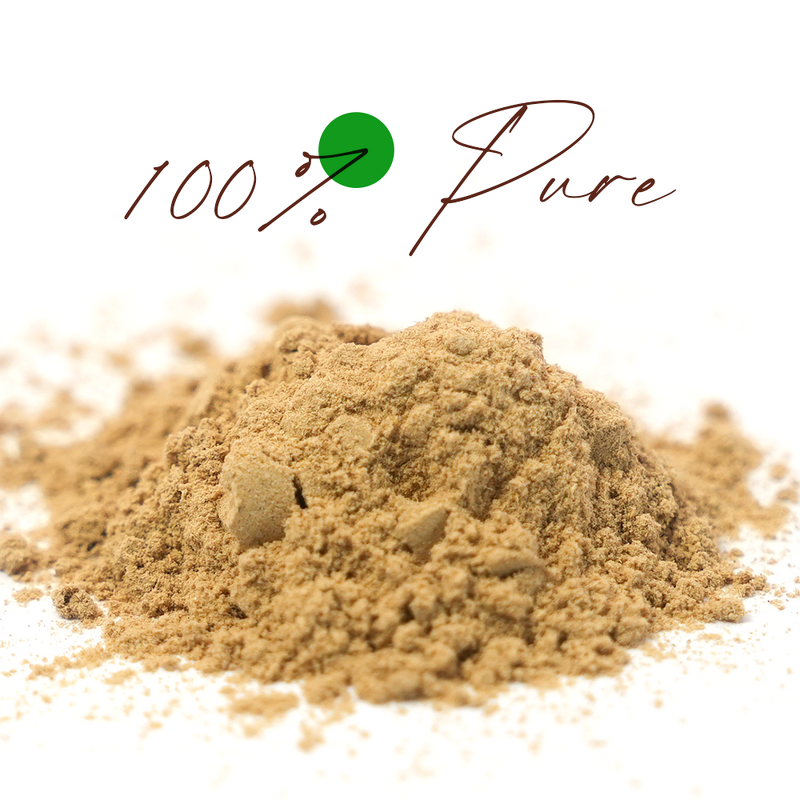 Slippery Elm Capsules Manufacturer - Hot Sale 1000mg for Wetness