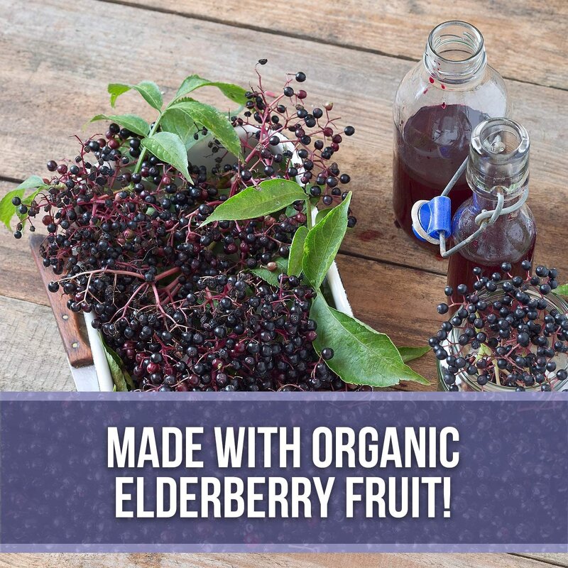 Elderberry Syrup - Manufacturer Hot Sale Organic Sambucus 30ml Antioxidant