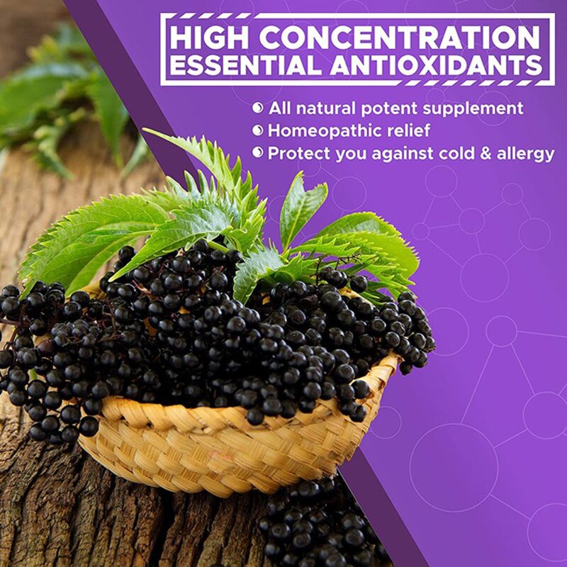 Elderberry Syrup - Manufacturer Factory Price Sambucas Immune Booster Antioxidant