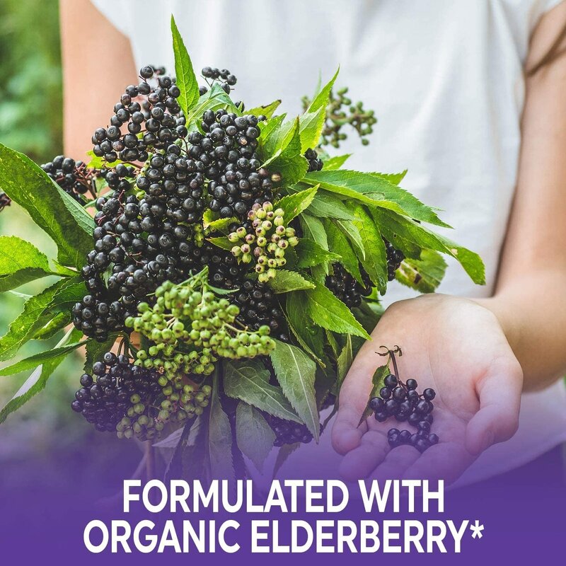 Elderberry Drops - Manufacturer Organic Sambucus Elderberries Extract Liquid