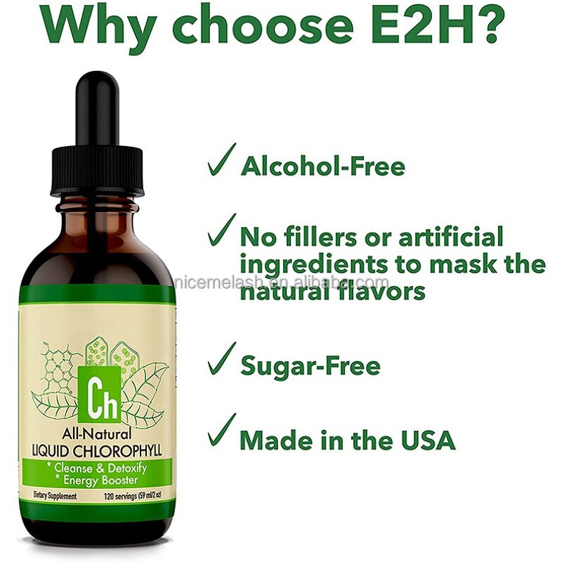 Chlorophyll Drops - Manufacturer Factory Price Mint Unflavored Digestion Immune