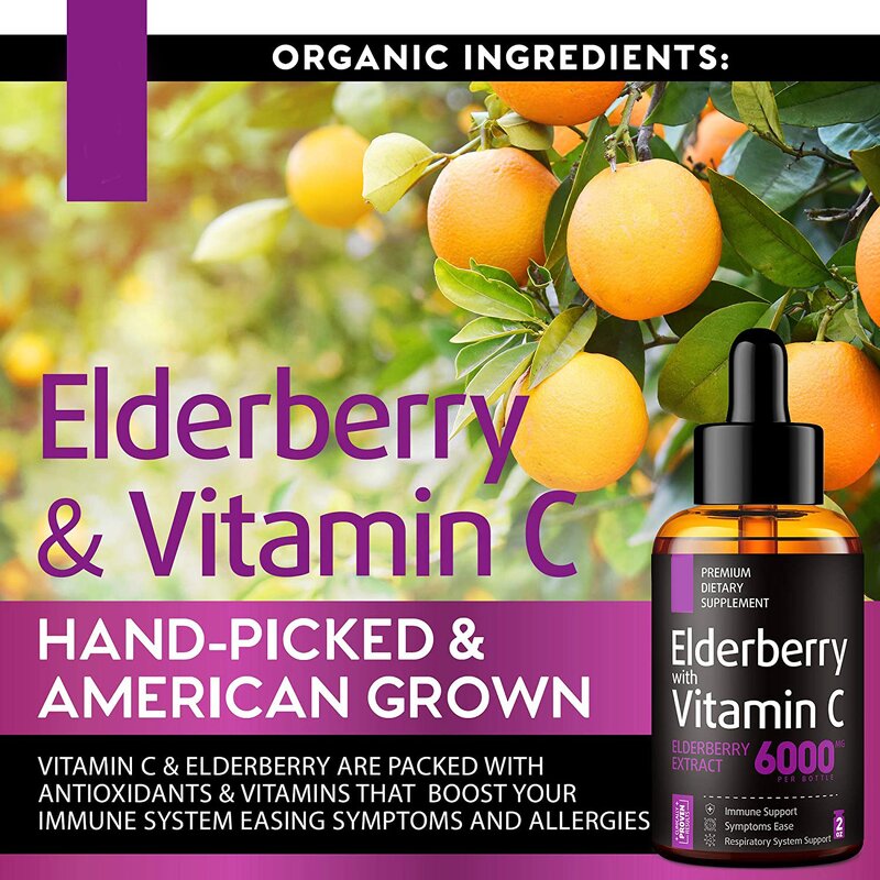 Elderberry Syrup - Manufacturer Factory Price Sambucas Immune Booster Antioxidant