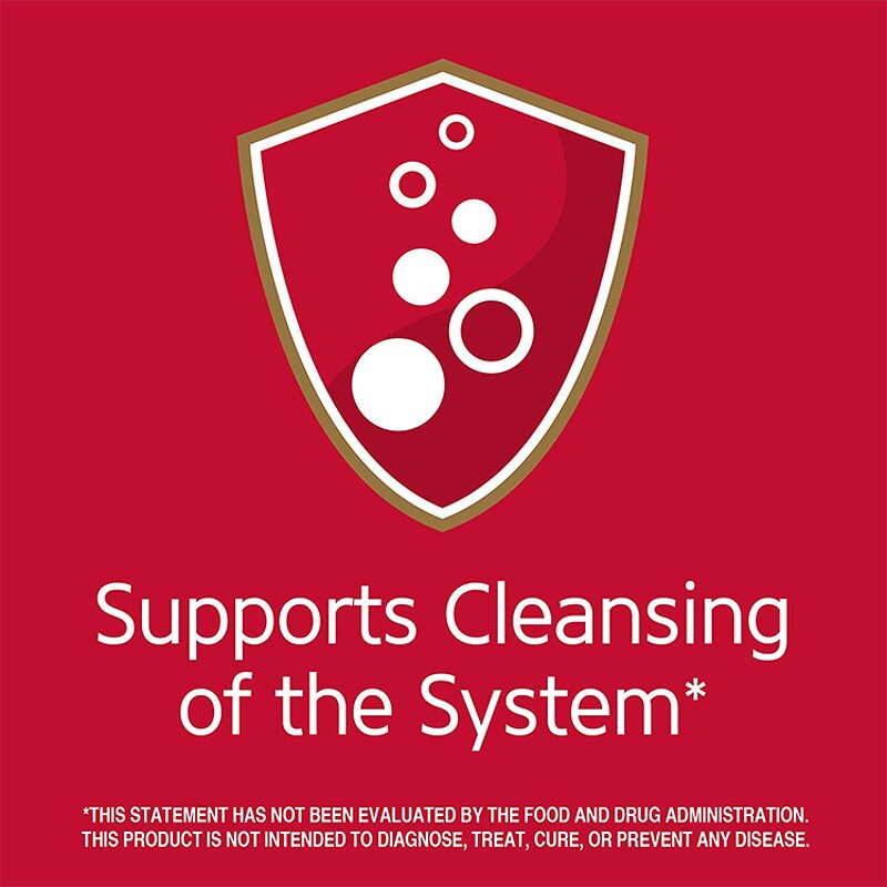 Slimming Tea - Manufacturer 2022 Hot Organic Private Label Slim Right Weight Loss