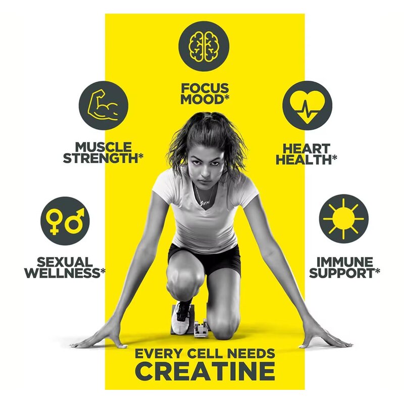 Creatine Powder - Manufacturer Custom Label HCI B Vitamins Pre Workout Muscle Energy