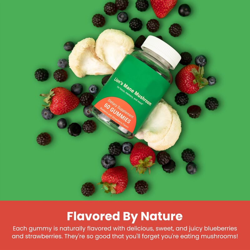 Lion's Mane Gummies - Manufacturer Ginko Smart Focus Memory Natural Fruit Brain