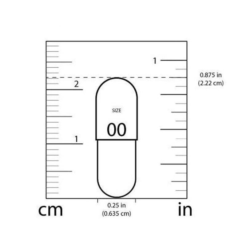 ALCAR Capsules - Manufacturer Acetyl L-Carnitine Cognitive Function Exercise Endurance