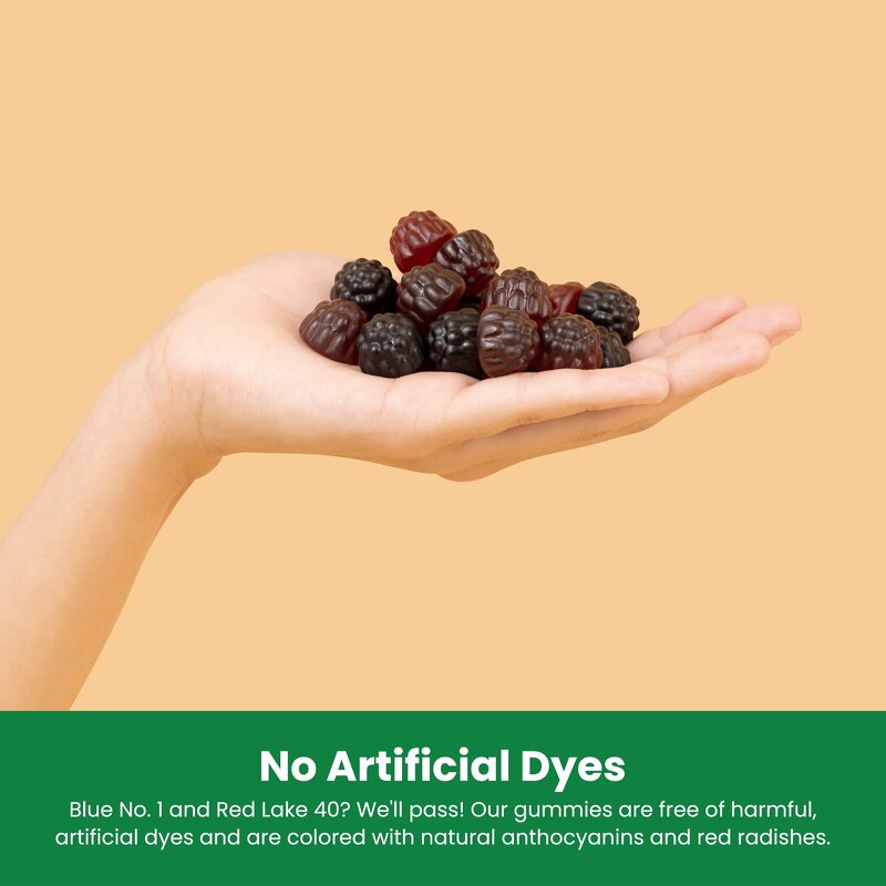 Lion's Mane Gummies - Manufacturer Ginko Smart Focus Memory Natural Fruit Brain