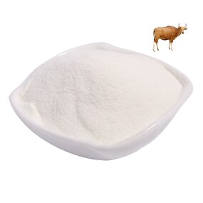 Collagen Powder Manufacturer - Wholesale Hydrolyzed Bovine Halal for Bone