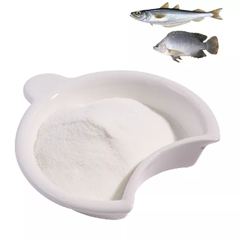 Marine Collagen Powder Manufacturer - Good Quality Food & Cosmetic Grade