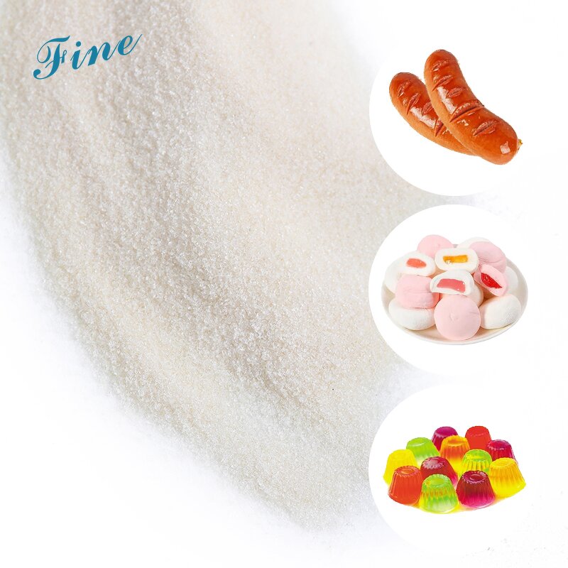 Gelatin Powder Manufacturer - Factory Supply Medicinal Edible for Capsule