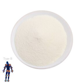 Collagen Powder Manufacturer - High Quality Free Sample Type II