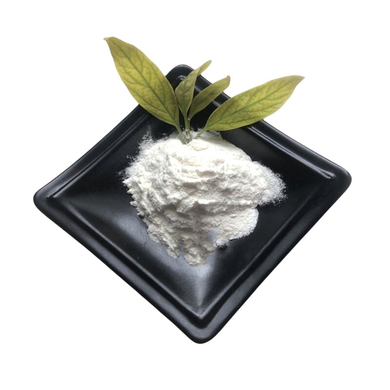 Whey Protein Powder Manufacturer - Wholesale Bulk Halal 90% Isolate