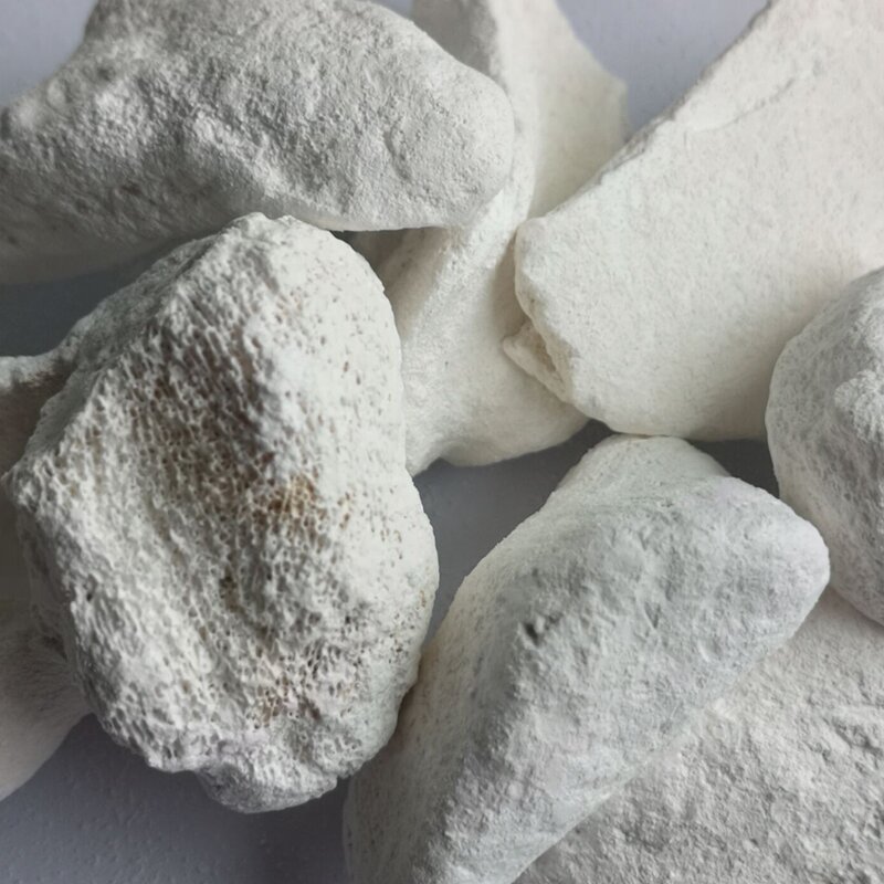 High Quality Bone Ash Bone Powder Protein