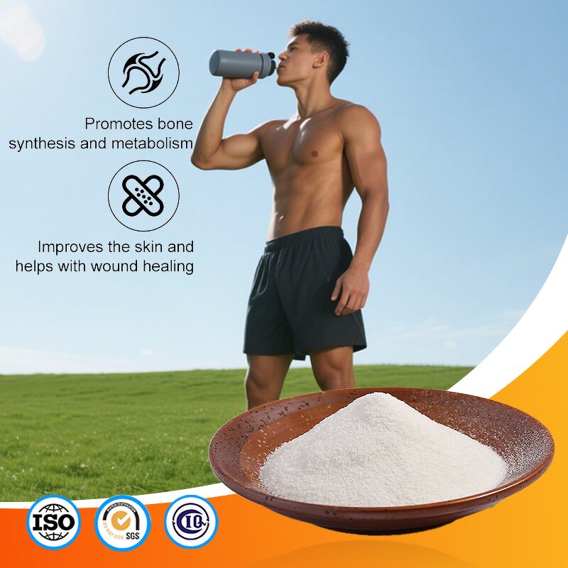 Collagen Powder Manufacturer - Factory Price Undenatured Type II Bulk