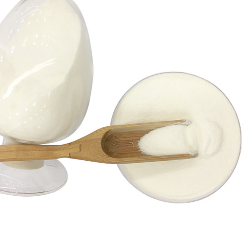 Whey Protein Powder Manufacturer - Wholesale Bulk Halal 90% Isolate