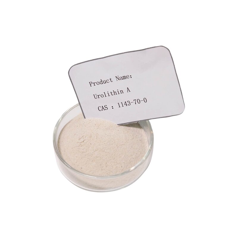 Urolithin A Powder - Manufacturer 98% Pomegranate Extract CAS1143-70-0 Wholesale