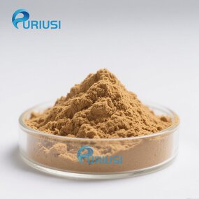 Porcini Mushroom Extract - Manufacturer Boletus Edulis 10:1 Food Grade Factory Supply