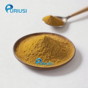 Turkey Tail Extract - Manufacturer 10:1 Coriolus Versicolor Powder Factory Supply High