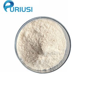 Chitosan Powder - Manufacturer 95% Deacetylation CAS9012-76-4 ISO9001 Factory Bulk