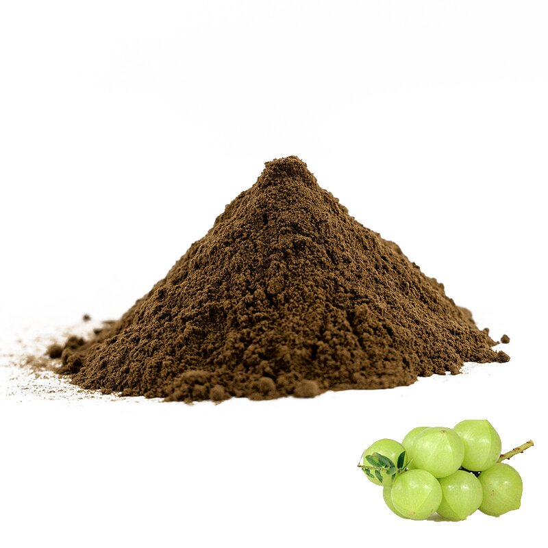 Amla Extract Powder - Manufacturer 10:1 Phyllanthus Emblica Bulk Vitamin C Supply