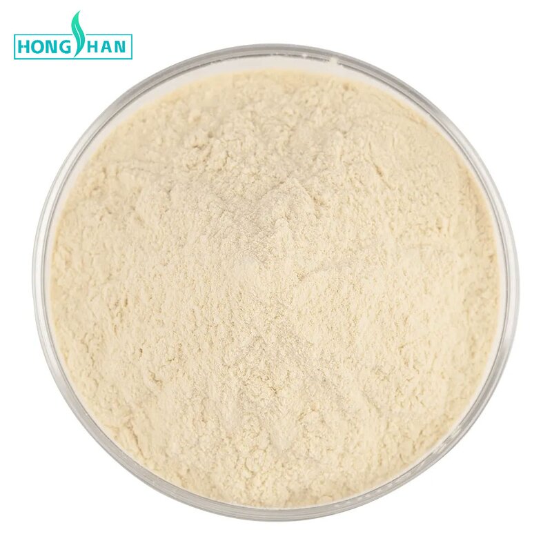 Lipase Enzyme - Manufacturer CAS9001-62-1 High Quality Food Additives Enzyme Powder