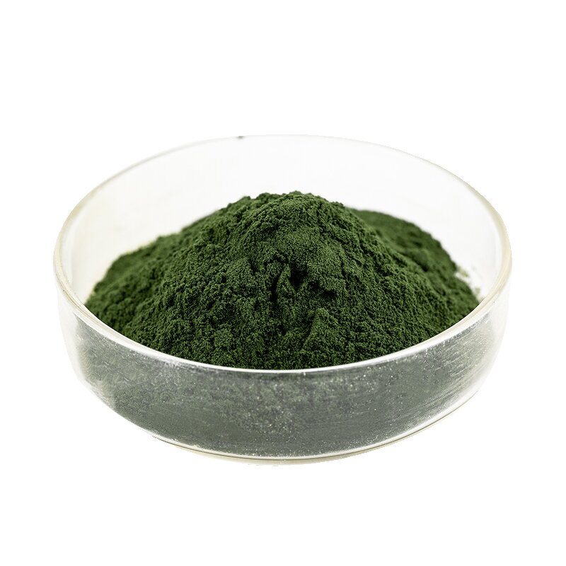 Fucus Vesiculosus - Manufacturer 100% Natural Pure Extract for Cosmetics Powder