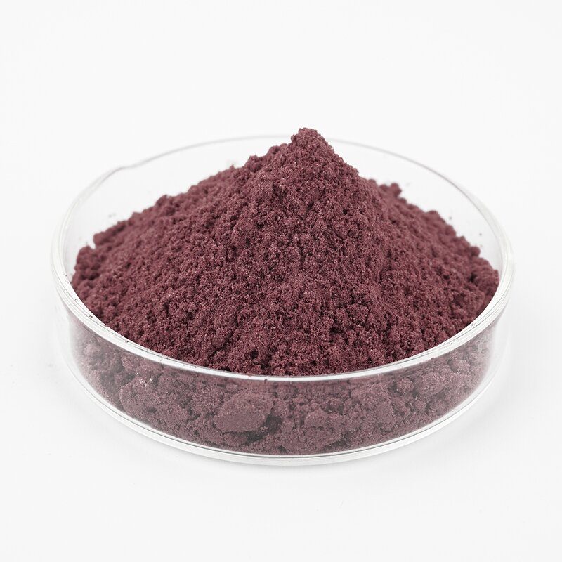 Black Carrot Extract - Manufacturer 10:1 20:1 Wild-Cultivated Natural Plant Extract