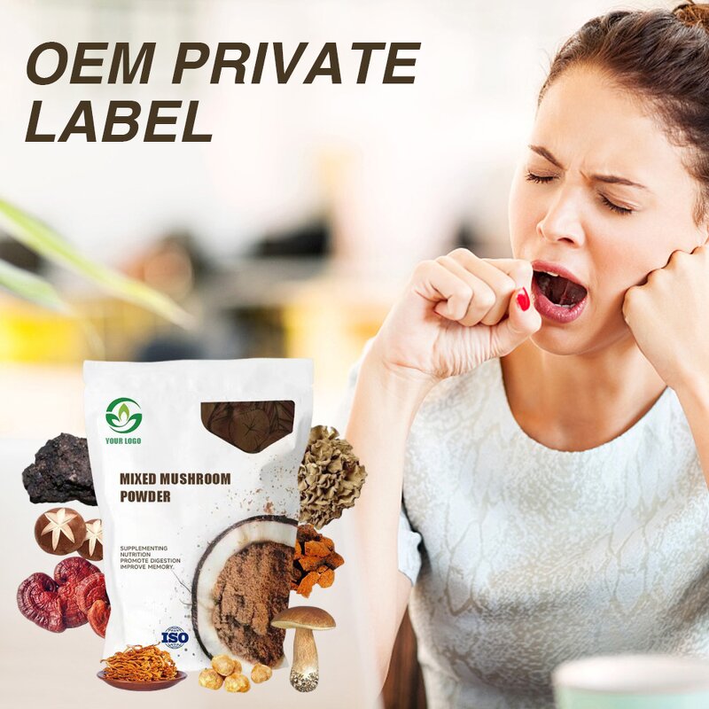 Mushroom Coffee Powder - Manufacturer Private Label Reishi Mushroom Coffee Factory