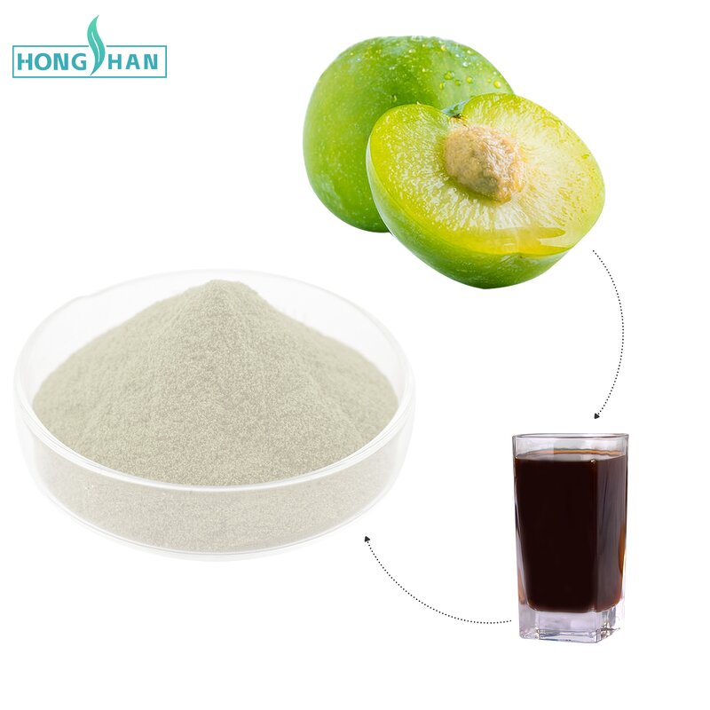 Plum Powder - Manufacturer 100% Organic Freeze Dried Plum Juice Pure Natural