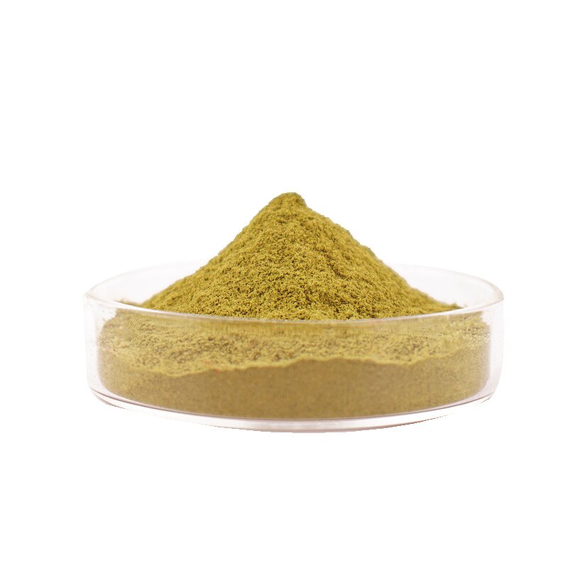 Yerbadetajo Extract - Manufacturer 10:1 Wedelolactone Rich Pure Yerbadetajo Powder