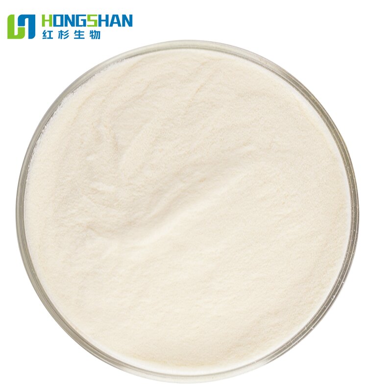 Digestive Enzyme - Manufacturer High Quality Natural Protein Digestion Aid Enzyme