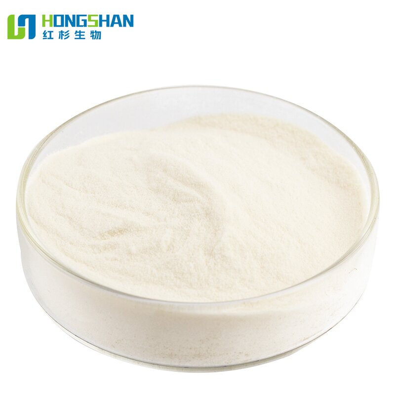 Digestive Enzyme - Manufacturer High Quality Natural Protein Digestion Aid Enzyme