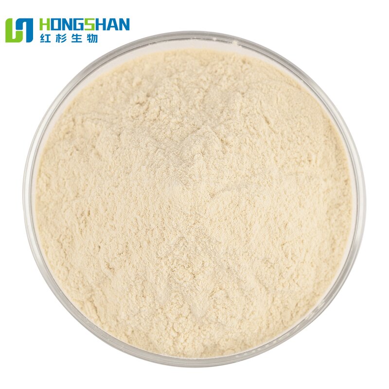 Yeast Hydrolase - Manufacturer High Quality Food Additive Yeast Extract Enzyme