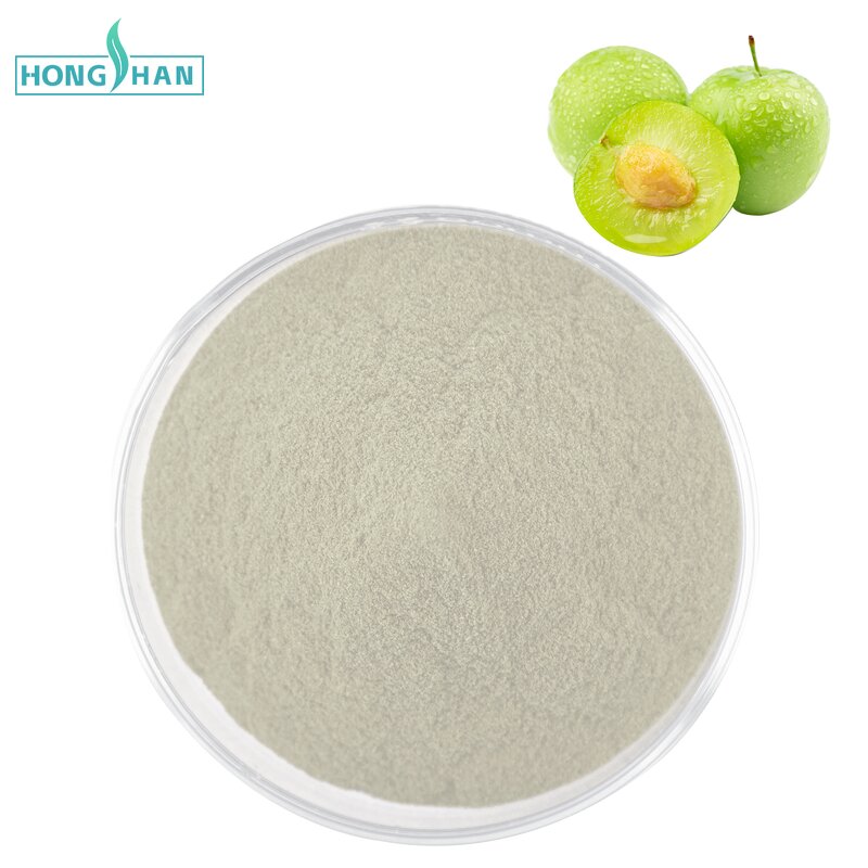 Plum Powder - Manufacturer 100% Organic Freeze Dried Plum Juice Pure Natural