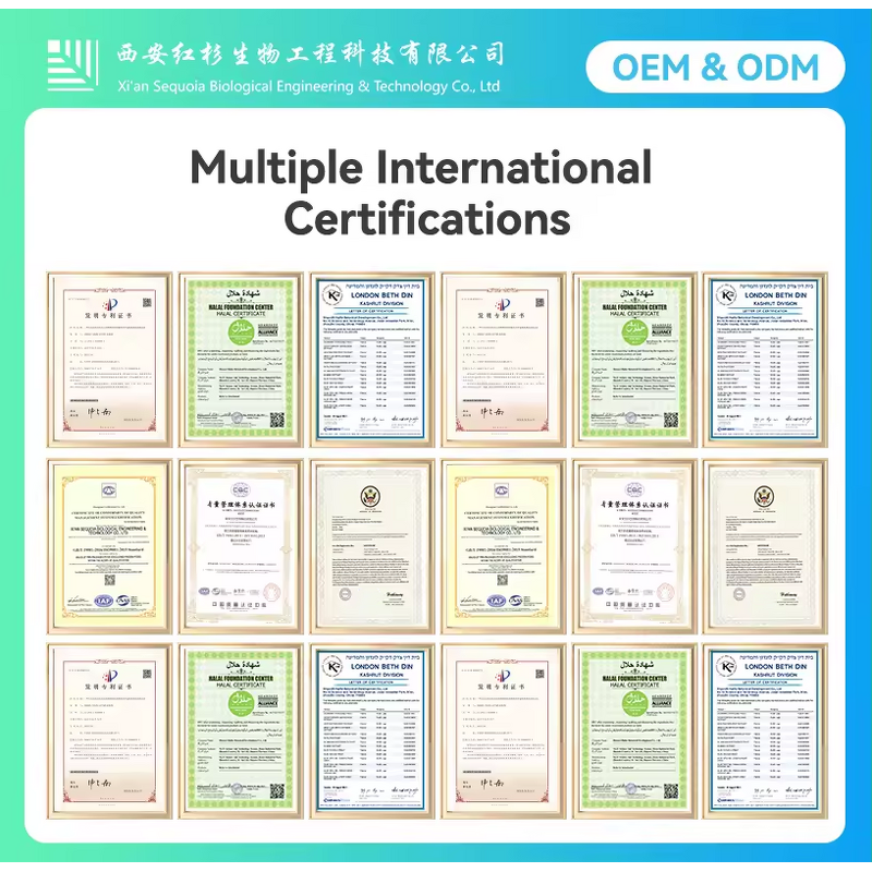 Magnesium Malate - Manufacturer 99% CAS869-06-7 Pure Food Grade Powder Supplement