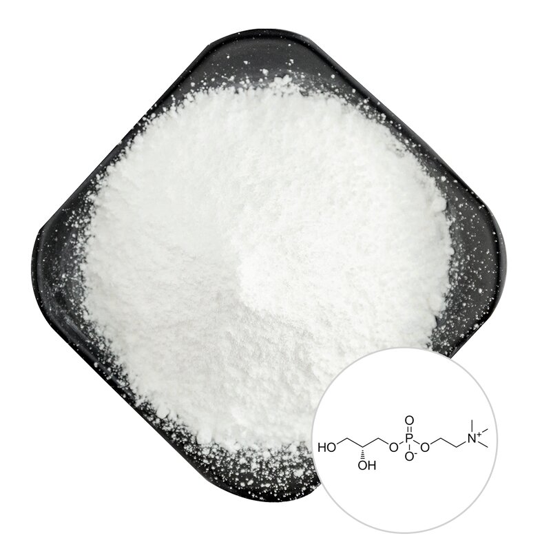 Alpha GPC Powder - Manufacturer 99% CAS28319-77-9 Choline Glycerophosphate Pure