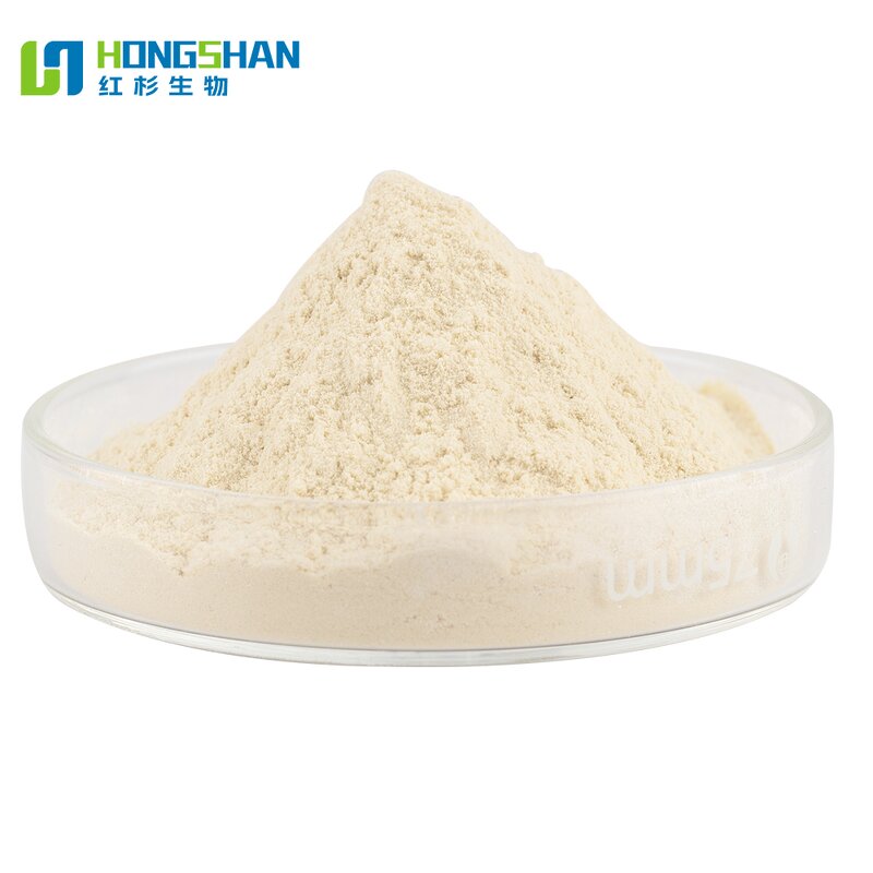 Yeast Hydrolase - Manufacturer High Quality Food Additive Yeast Extract Enzyme