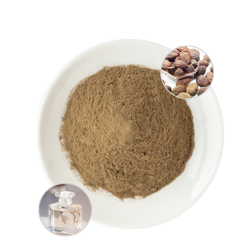 Thyme Extract Powder - Manufacturer 10:1 30:1 50:1 Ursolic Oleanolic Acid Cosmetic