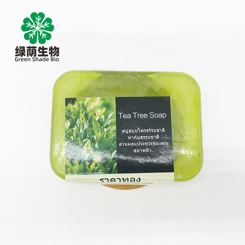 Tea Tree Soap Manufacturer - Private Label Thailand 100% Pure Natural Organic for Oily Skin
