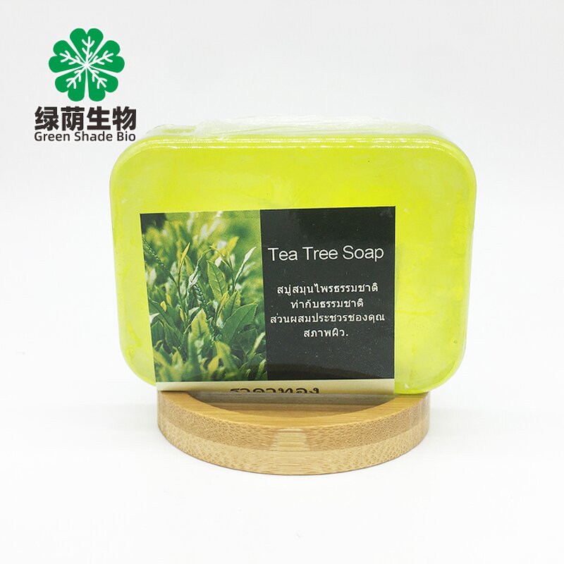 Tea Tree Soap Manufacturer - Private Label Thailand 100% Pure Natural Organic for Oily Skin