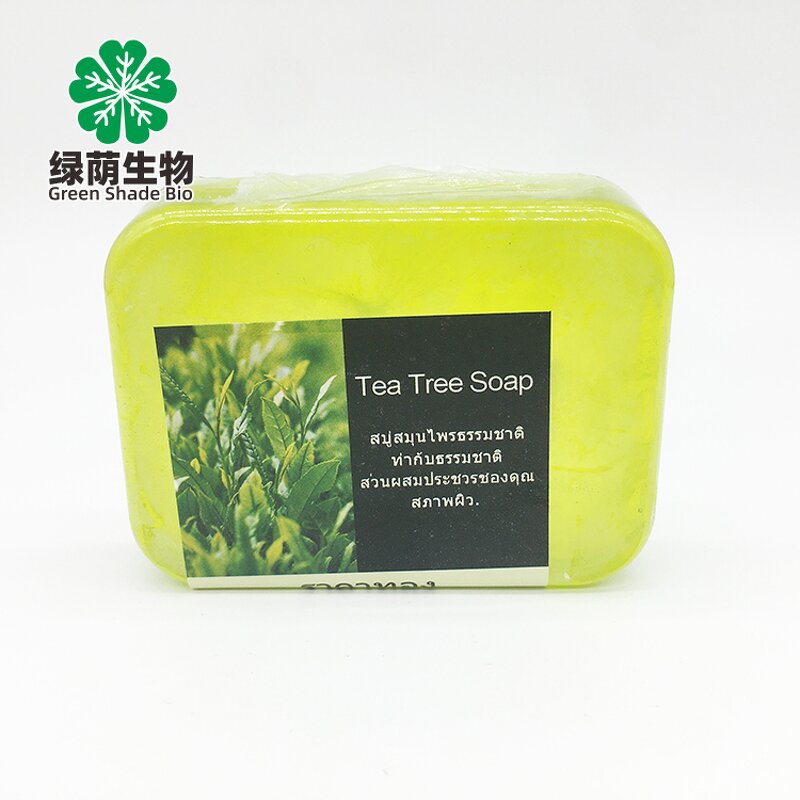 Tea Tree Soap Manufacturer - Private Label Thailand 100% Pure Natural Organic for Oily Skin