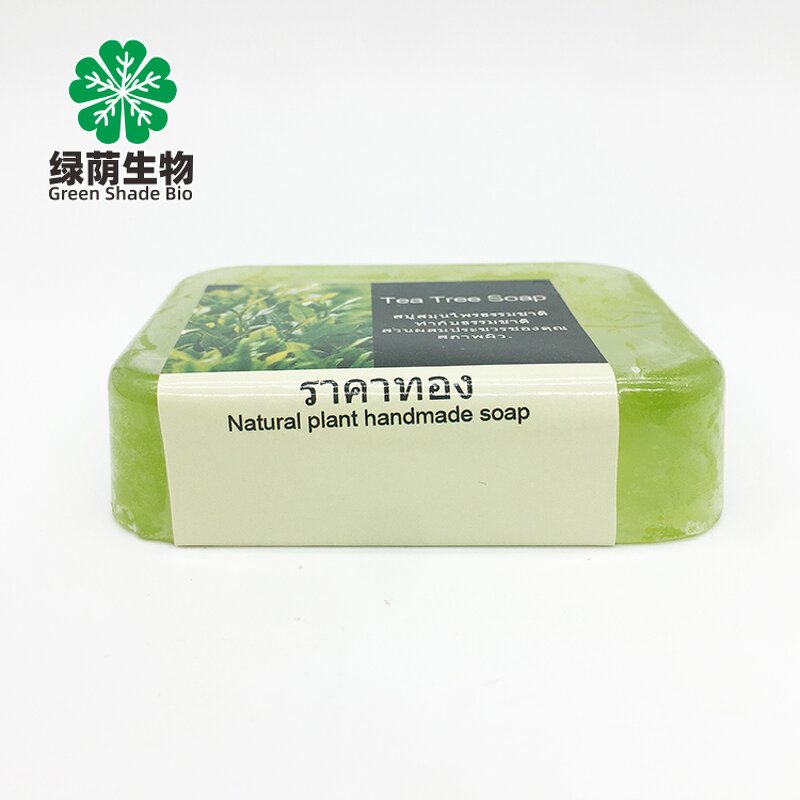 Tea Tree Soap Manufacturer - Private Label Thailand 100% Pure Natural Organic for Oily Skin