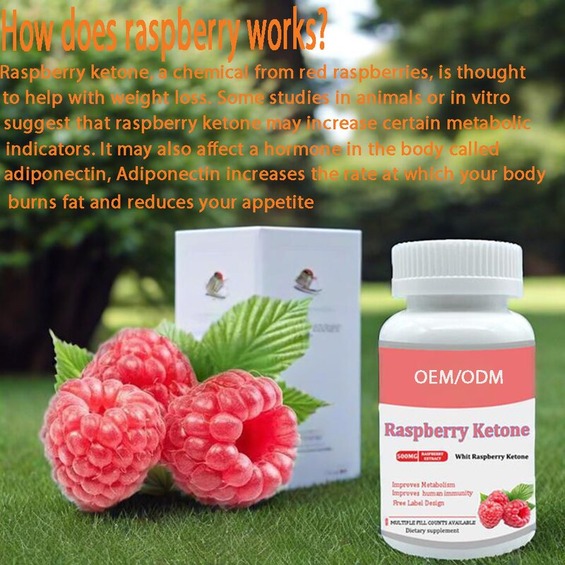 Raspberry Ketone Capsules Manufacturer - Best-Selling 2025 Fat Burner Herbal for Adults