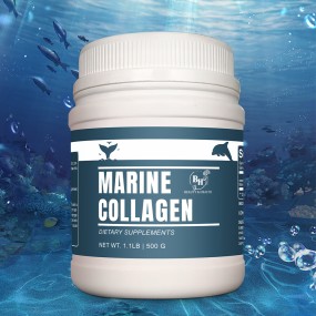 Marine Collagen Powder Factory - OEM ODM Anti-Aging Skin Joint Health