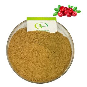 Bearberry Extract Powder - Manufacturer HALAL High Quality Pure Natural Extract
