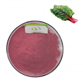 Red Beet Leaf Powder - Manufacturer GMP Pure Natural Red Beet Powder